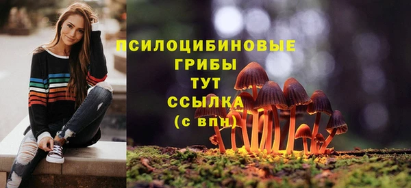 МДПВ Абдулино